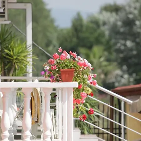 Hotel Zaara Słoneczny Brzeg