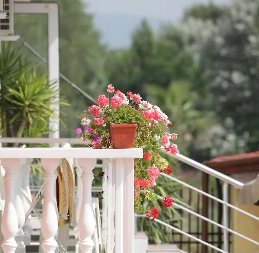 Hotel Zaara Sluneční pobřeží